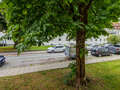 apartamento München Obergiesing 02 vista 14087