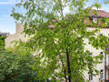 apartamento München Schwabing-West 02 vista 14894