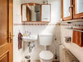 casa Gmund am Tegernsee 01 2. baño 14912