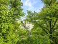 apartamento München Neuhausen 01 vista 14943