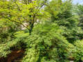 apartamento München Schwabing-West 02 vista 2711