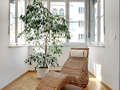 apartamento München Altbogenhausen 09 salón 5506