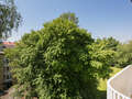 apartamento München Bogenhausen 01 vista 7047
