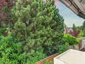 apartamento München Bogenhausen 02 vista 8668