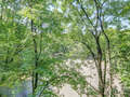apartamento München Isarvorstadt 02 vista 8737