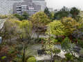 ático con terraza München Arabellapark 01 vista 9024
