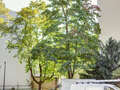 apartamento München Neuhausen 01 vista 9686
