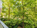 apartamento München Ludwigsvorstadt 03 vista 9983