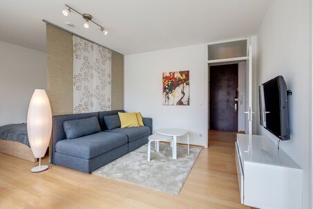 https://www.mrlodge.es/pisos/apartamento-de-1-habitacion-munich-maxvorstadt-11115