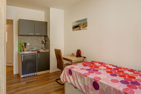 https://www.mrlodge.es/pisos/apartamento-de-1-habitacion-munich-maxvorstadt-12509
