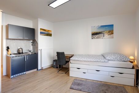 https://www.mrlodge.es/pisos/apartamento-de-1-habitacion-munich-maxvorstadt-12660