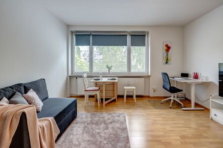 https://www.mrlodge.es/pisos/apartamento-de-1-habitacion-munich-maxvorstadt-13092