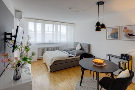 https://www.mrlodge.es/pisos/apartamento-de-1-habitacion-munich-schwanthalerhoehe-2741