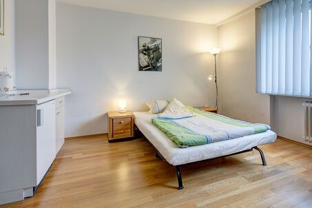 https://www.mrlodge.es/pisos/apartamento-de-1-habitacion-munich-maxvorstadt-2768