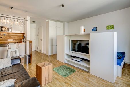 https://www.mrlodge.es/pisos/apartamento-de-1-habitacion-munich-maxvorstadt-4815
