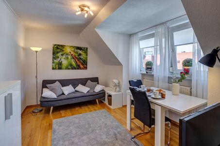 https://www.mrlodge.es/pisos/apartamento-de-1-habitacion-munich-altstadt-5396