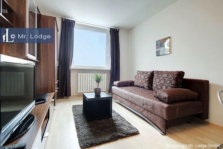 https://www.mrlodge.es/pisos/apartamento-de-1-habitacion-munich-isarvorstadt-5954