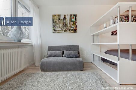 https://www.mrlodge.es/pisos/apartamento-de-1-habitacion-munich-isarvorstadt-6528