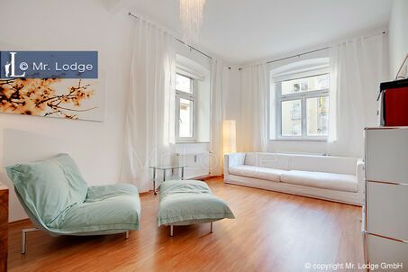 https://www.mrlodge.es/pisos/apartamento-de-3-habitaciones-munich-maxvorstadt-6536