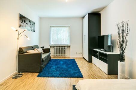 https://www.mrlodge.es/pisos/apartamento-de-1-habitacion-munich-au-haidhausen-7101