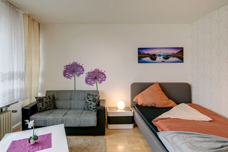 https://www.mrlodge.es/pisos/apartamento-de-1-habitacion-munich-pasing-7789