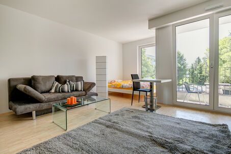 https://www.mrlodge.es/pisos/apartamento-de-1-habitacion-munich-obergiesing-8008