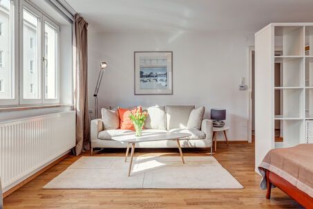 https://www.mrlodge.es/pisos/apartamento-de-1-habitacion-munich-maxvorstadt-9459