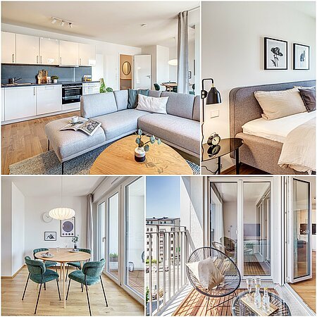 ID 12517: Primera ocupación de un nuevo edificio cerca del Isar