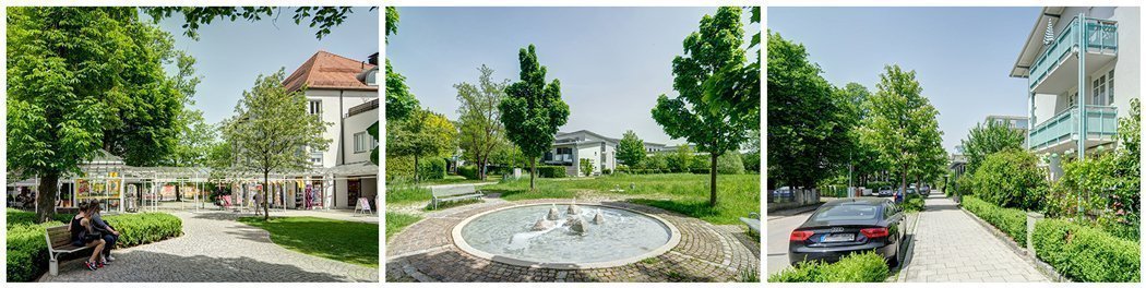 Haar - © Mr. Lodge GmbH Haar - © Mr. Lodge GmbH