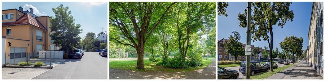 Fotos de los alrededores del barrio de Waldfriedhof